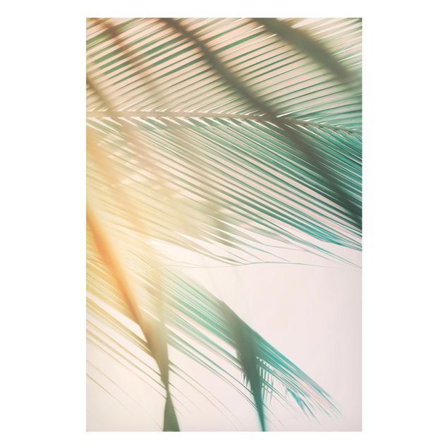 Wandbilder Landschaften Tropische Pflanzen Palmen bei Sonnenuntergang II