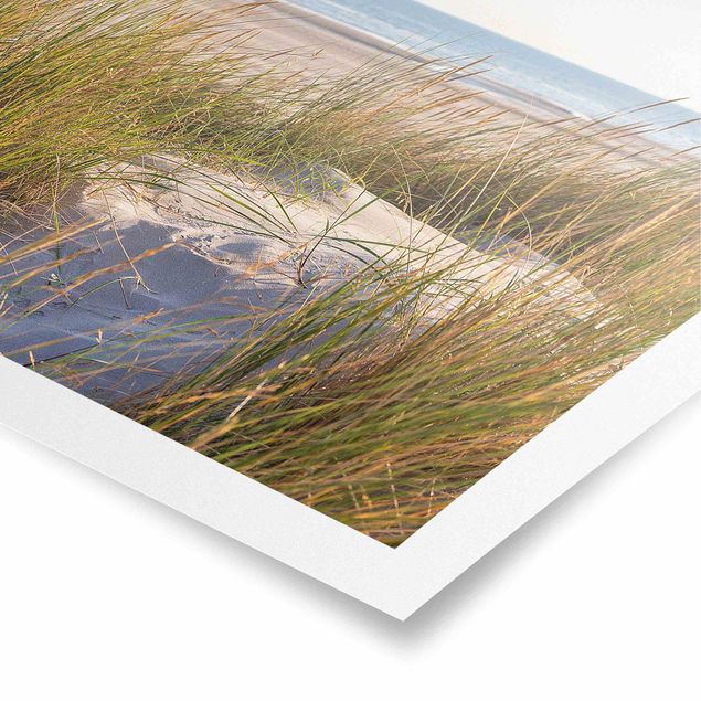 Kunstdrucke Poster Stranddüne am Meer