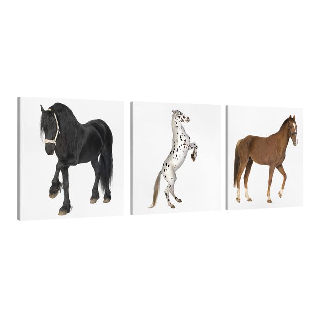 Wandbilder Modern Three Horses Trio