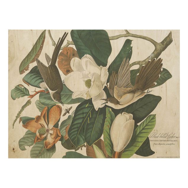 Holzbilder Blumen Vintage Lehrtafel Kuckuck