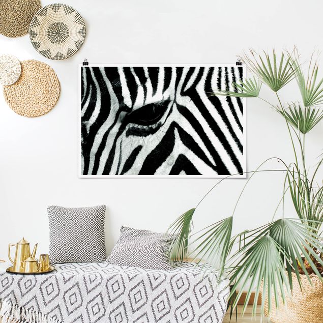 Wandbilder Zebras Zebra Crossing