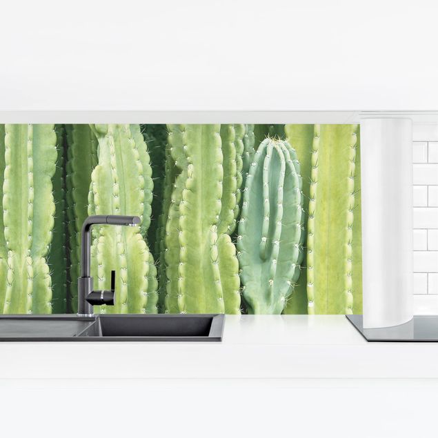 Klebefolien selbstklebend Kaktus Wand