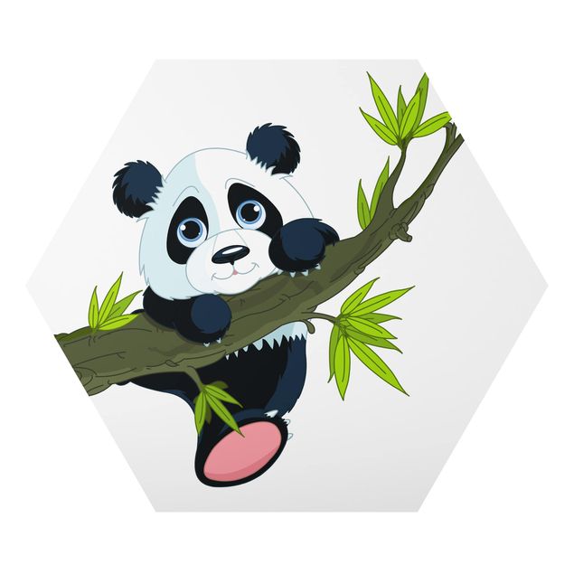 Wandbilder Natur Kletternder Panda