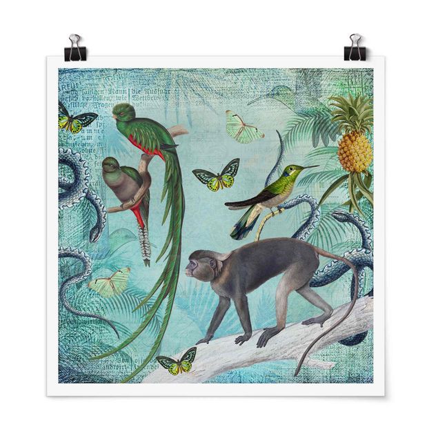 Poster mit Blumen Colonial Style Collage - Äffchen und Paradiesvögel