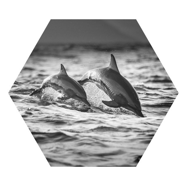 Bilder auf Hartschaumplatte Zwei springende Delfine