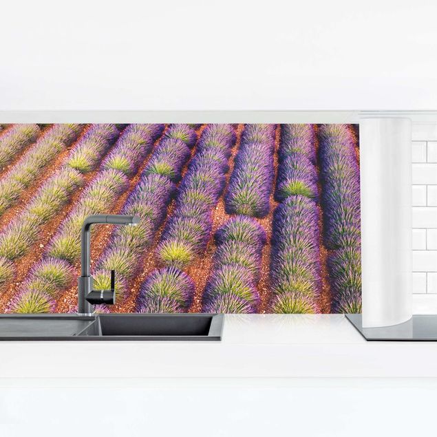 Küchenspiegel Glas Malerisches Lavendelfeld