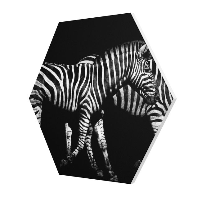 Wandbilder Schwarz-Weiß Zebra vor Schwarz
