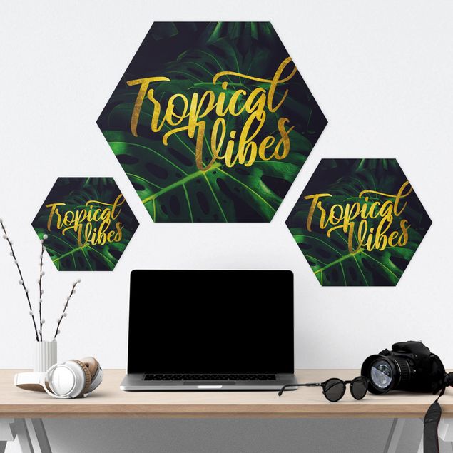 Hexagon Bild Forex - Dschungel - Tropical Vibes