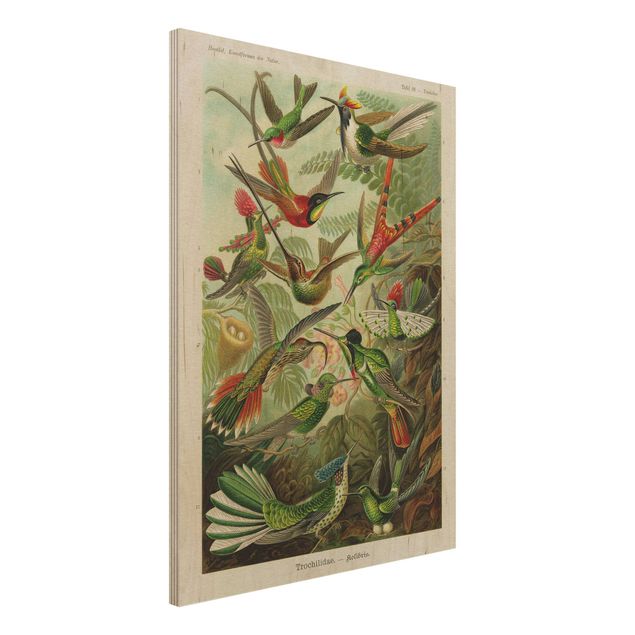 Wanddeko Küche Vintage Lehrtafel Kolibris