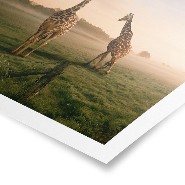 Wandbilder Landschaften Surreal Giraffes