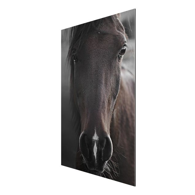 Wandbilder Modern Dunkles Pferd