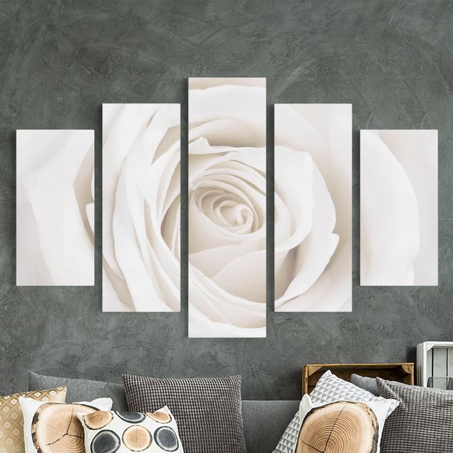 Leinwandbilder Rosen Pretty White Rose