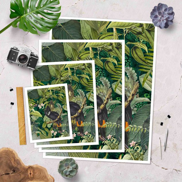 schöne Bilder Bunte Collage - Kakadus im Dschungel
