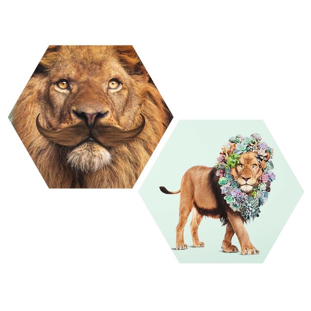 Wandbilder Floral Löwen Bart und Sukkulenten