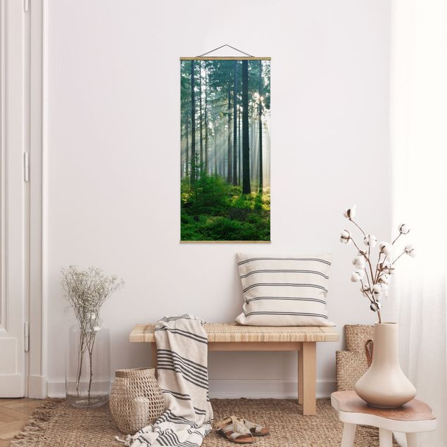 Wandbilder Landschaften Enlightened Forest