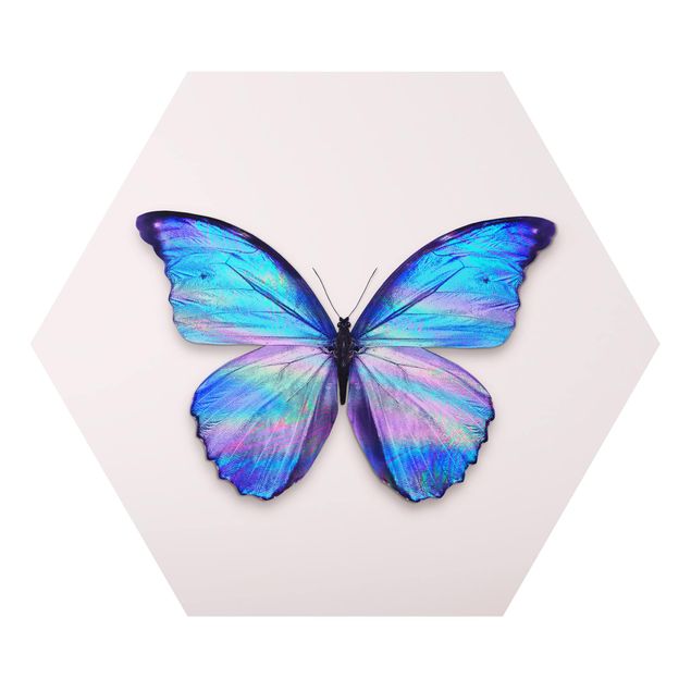 Wandbilder Modern Holografischer Schmetterling