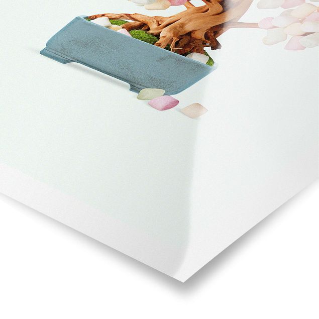 Jonas Loose Bilder Bonsai mit Marshmallows
