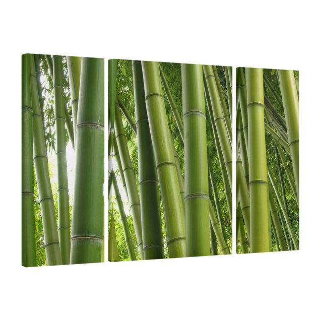 Wandbilder Bambus Bamboo Trees