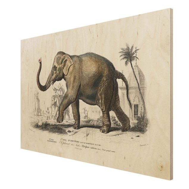 Vintage Bilder Holz Vintage Lehrtafel Elefant