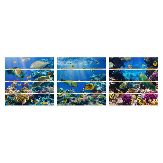 Wandbilder Underwater Trio