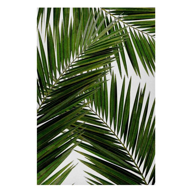 Magnettafel - Blick durch grüne Palmenblätter - Hochformat 2:3