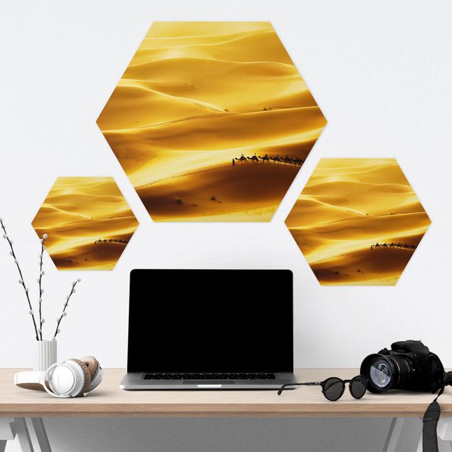 Hexagon Bilder Golden Dunes