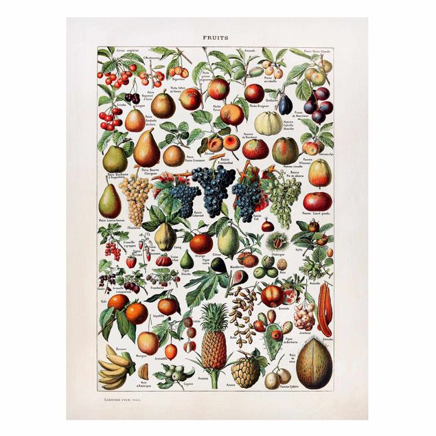 Wandbilder Früchte Vintage Lehrtafel Früchte