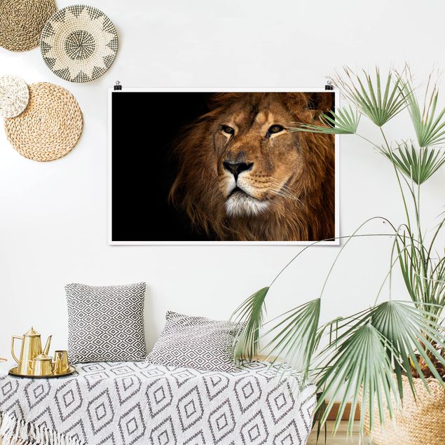 Poster Tiere Löwenblick