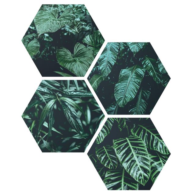 Wandbilder Modern Tropische Pflanzen