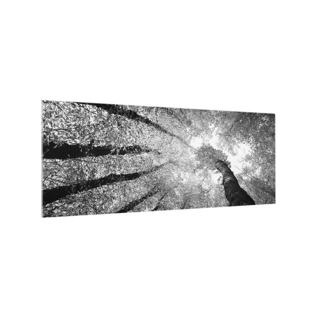 Spritzschutz Glas - Bäume des Lebens II - Panorama - 5:2