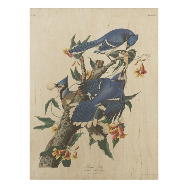Holzbilder Blumen Vintage Lehrtafel Blauer Häher