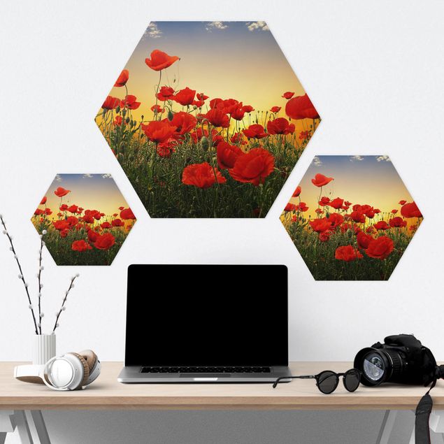 Hexagon Bilder Mohnblumenfeld im Sonnenuntergang