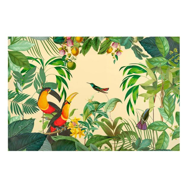 Wandbilder Dschungel Vintage Collage - Vögel im Dschungel