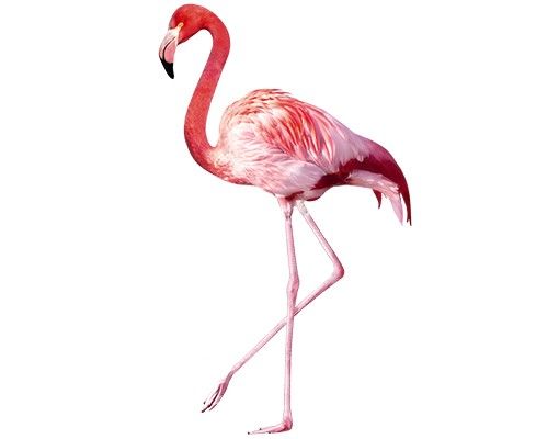 Fenstersticker Tiere Pink Flamingo