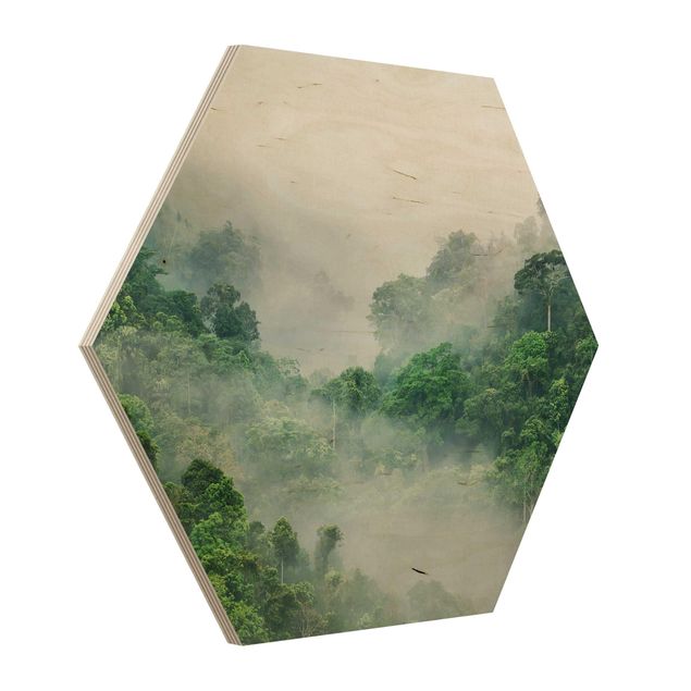 schöne Bilder Dschungel im Nebel