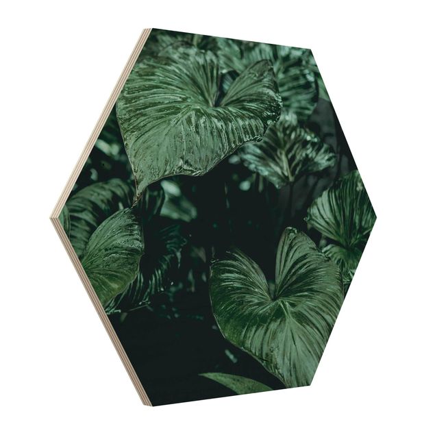 Holzbilder Tropische Pflanzen I