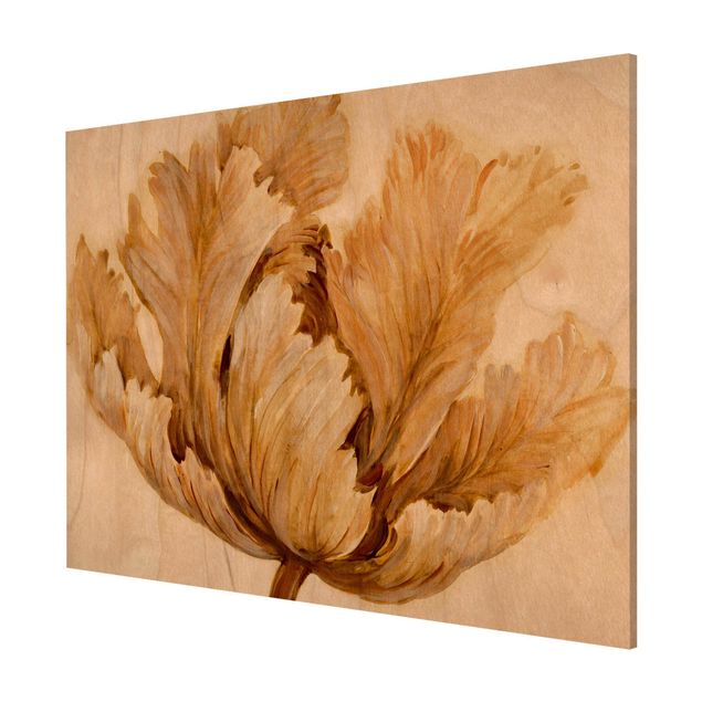 Wandbilder Floral Sepia Tulpe auf Holz