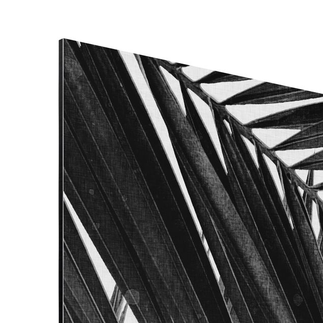 Wandbilder Kunstdrucke Blick durch Palmenblätter schwarz weiß