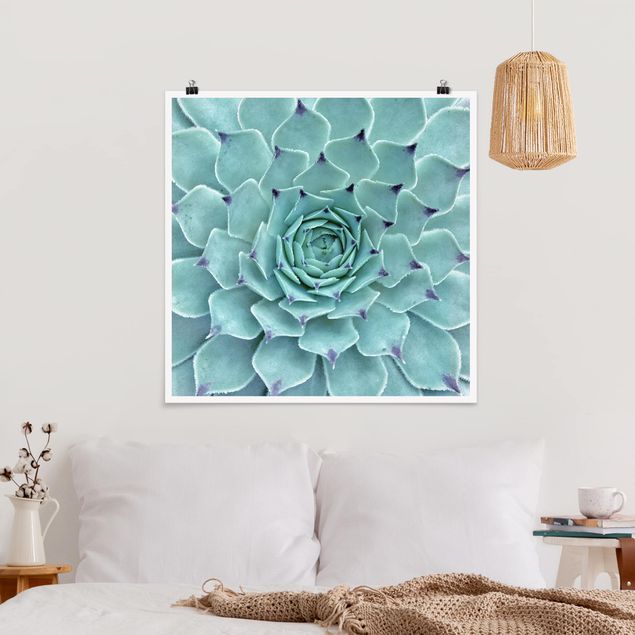 Blumen Poster Kaktus Agave