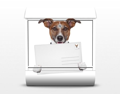 Briefkasten Design Hund mit Brief