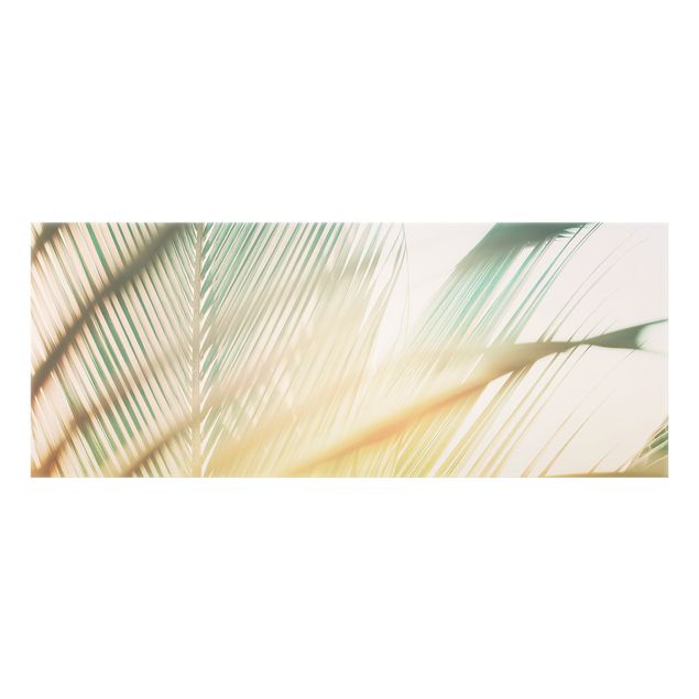 Spritzschutz Glas - Tropische Pflanzen Palmen bei Sonnenuntergang II - Panorama - 5:2