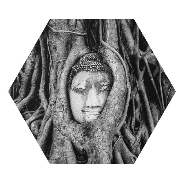 Bilder auf Hartschaumplatte Buddha in Ayutthaya von Baumwurzeln gesäumt in Schwarzweiß