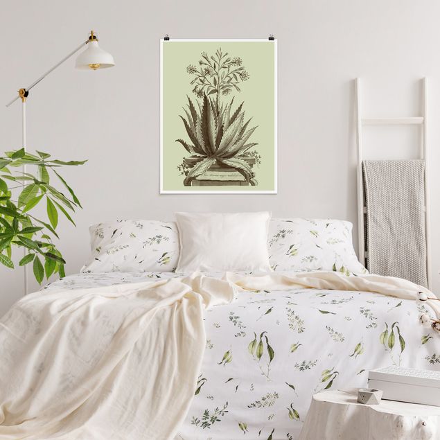 Poster mit Blumen Vintage Aloe Serrata