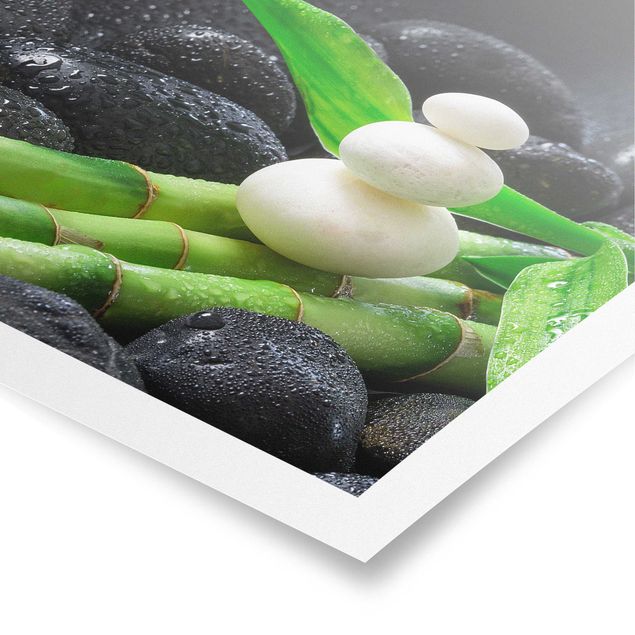 Poster Kunstdruck Weiße Steine auf Bambus
