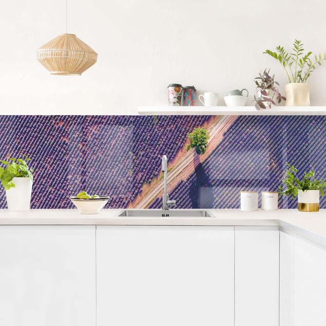 Glasrückwand Küche Lavendelfeld Draufsicht
