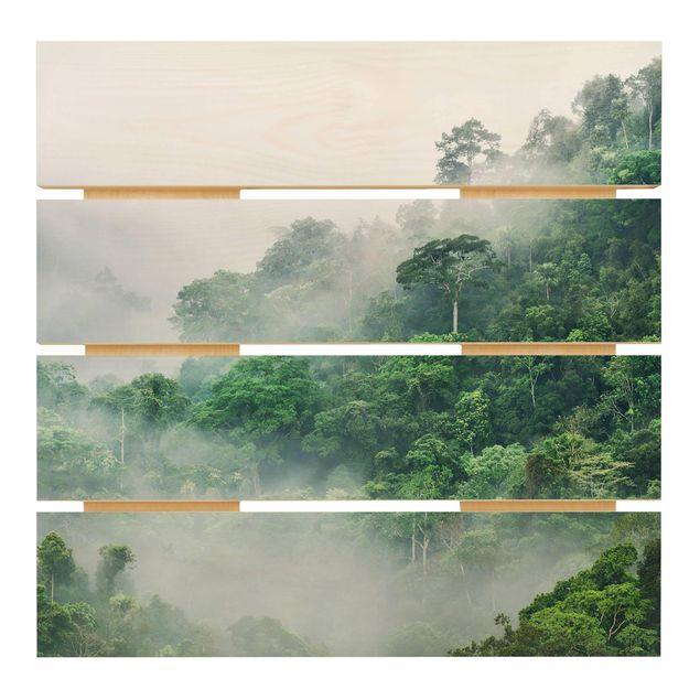Bilder Dschungel im Nebel