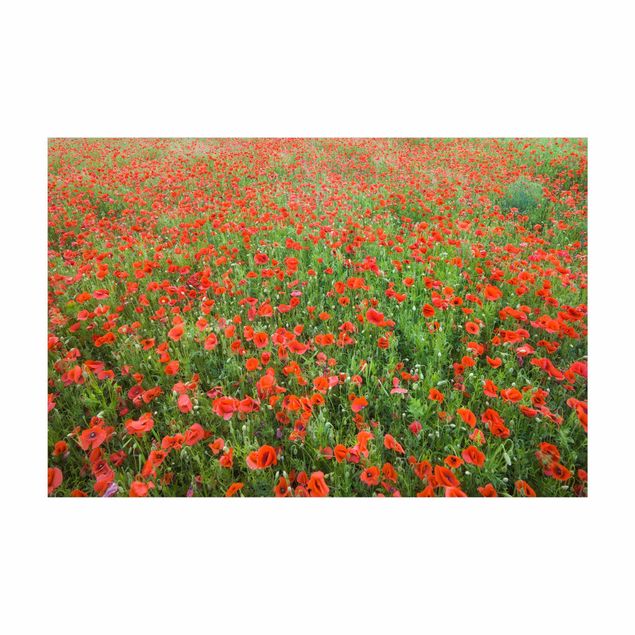 Teppich Blumen Mohnblumenfeld