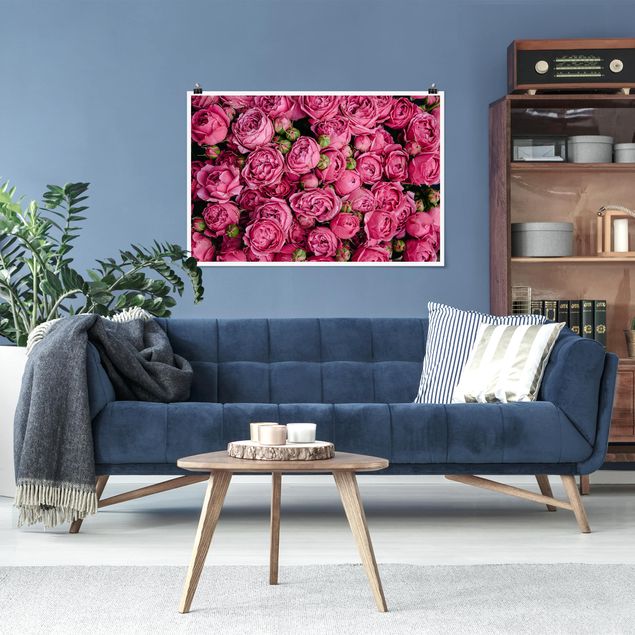 Wandbilder Floral Pinke Pfingstrosen
