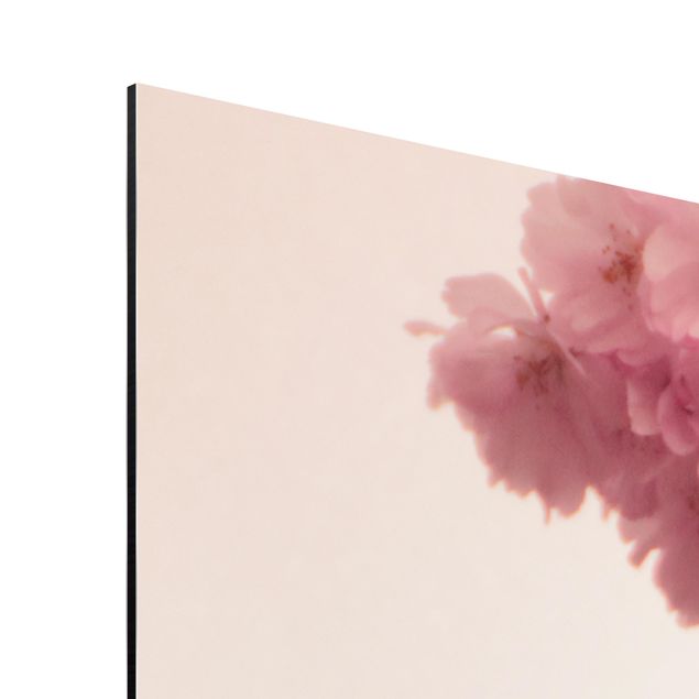 Wandbilder Rosa Zartrosane Frühlingsblüte mit Bokeh