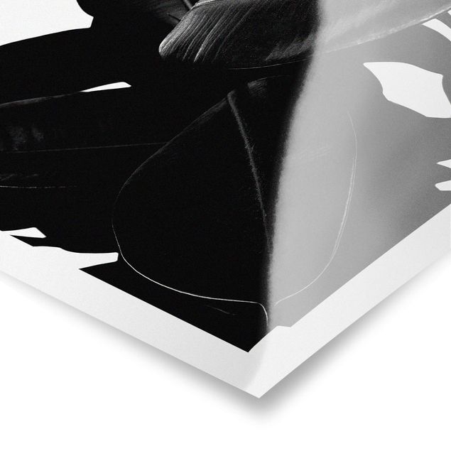 Kubistika Kunstdrucke Gummibaum Blätter Schwarz Weiß